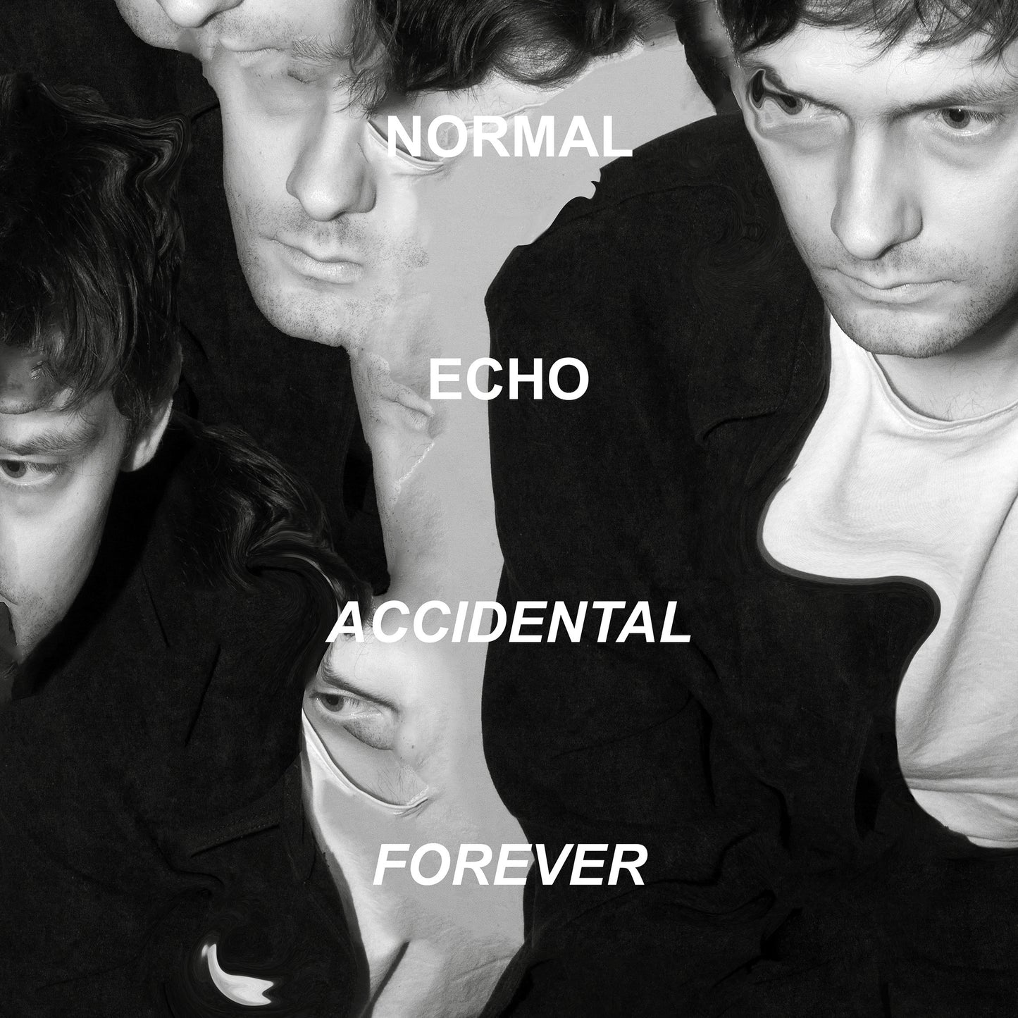 Normal Echo - Accidental Forever Vinyl