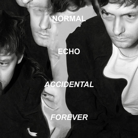 Normal Echo - Accidental Forever Vinyl