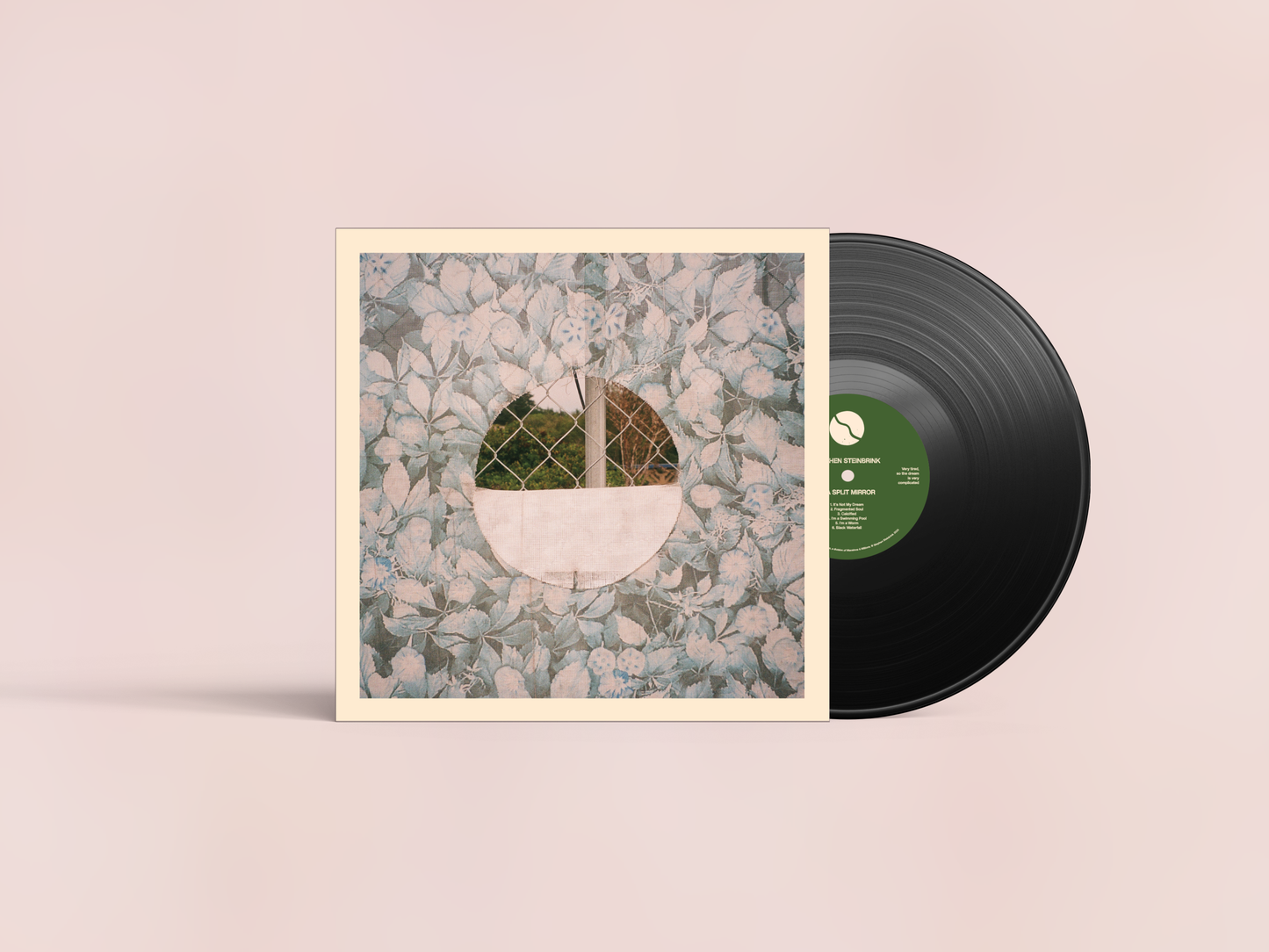 Stephen Steinbrink - In a Split Mirror Vinyl